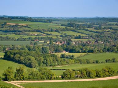 Hedgerows in landscape