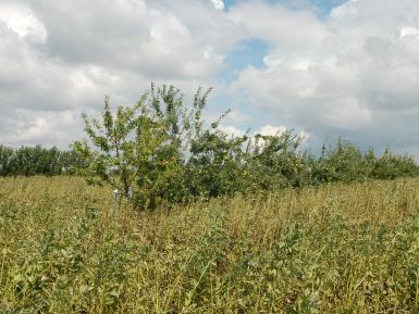 Taken at Home Farm (and Farmeco Community Care Farm), Screveton, Nottinghamshire. Photo credit: Janie Caldbeck