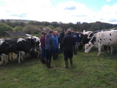 Leading the way on reducing antibiotic use on farm