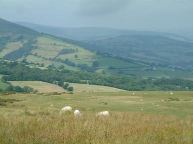 Hill farming, Wales