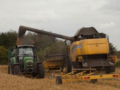 Can a neonic future be good for farming and nature?