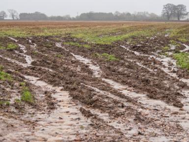 Rainwater running off of saturated arable field