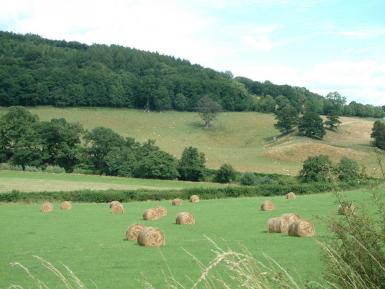 Welsh farming landscape