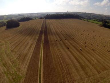 agroforestry-field-1024x576