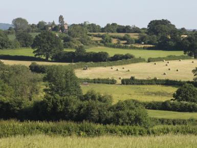 Wern-y-Melyn Farm