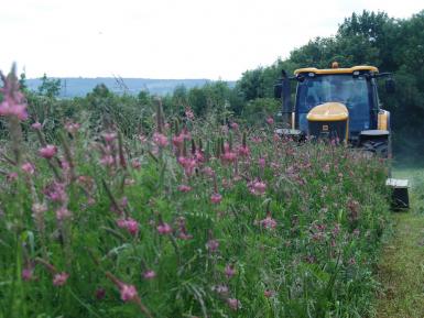 Grasslands & forage crops