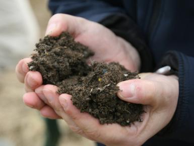 Organic material from Leicester waste processing -trialled on farm.