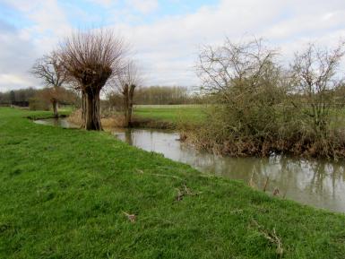 Fenced & grazed riparian strips