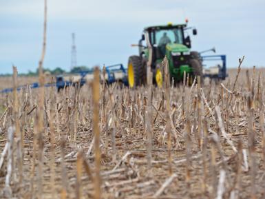 No-Till Planting