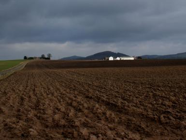 Tour Scotland Photograph Farm Perthshire March 7th 02