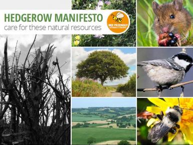 Hedgerow Manifesto cover