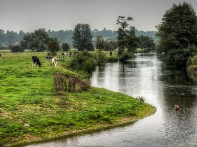 Healthy farmed environments are key to protecting our water quality and reducing flood risk