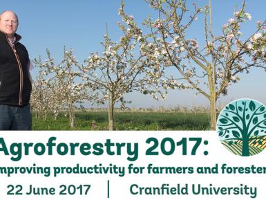 Agroforestry 17