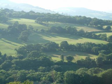 Shelter belts