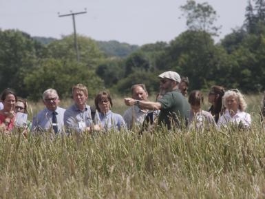 Bruce Pearce on wheat populations