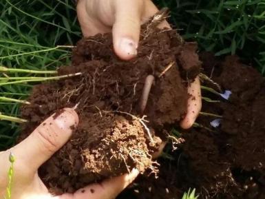 How do you test your soil health?