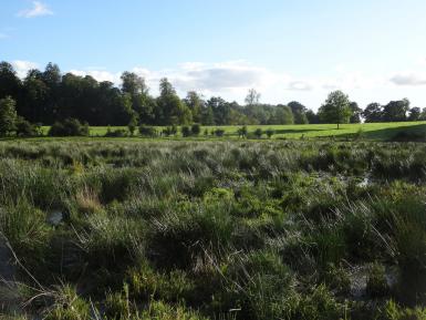 Daylesford Wetlands, Sept 16