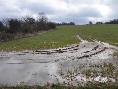 Soil runoff from tramline. Peter Thompson- GWCT