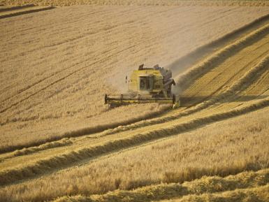 Mere - combine harvester at work