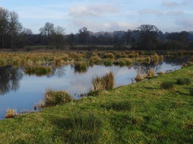 Daylesford Wetlands Jan 17