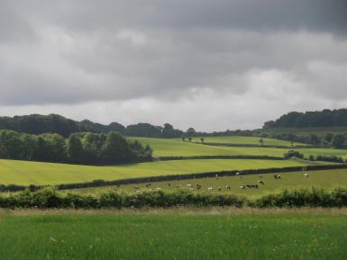 Hemsworth Farm view