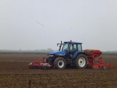 Drills establishing spring wheat: power harrow combination drill, Minimum tillage Vaderstad drill, Ecodyn direct drill