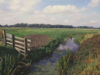 Grazing marshes/dyke