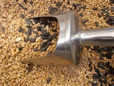 Grain & seeds, Elm Farm