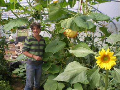 Jude and sunflowers