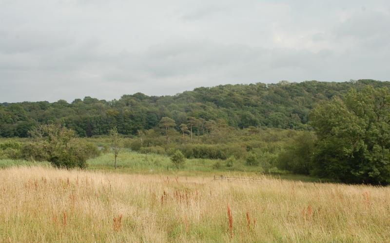 Gait Barrows National Nature Reserve - where grazing is needed to maintain the habitat around Hawes Water