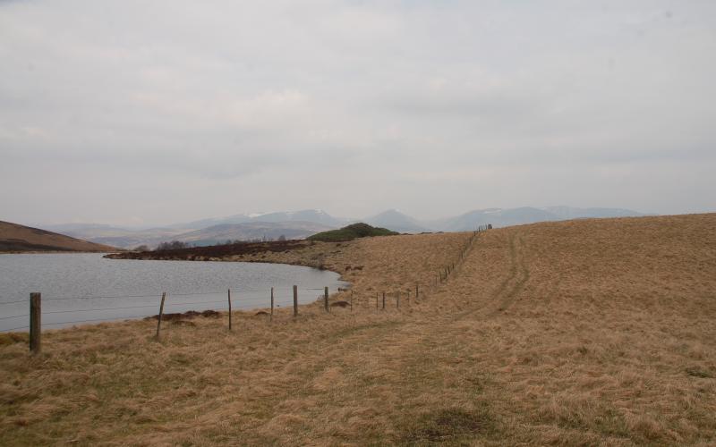 Loch Tummel – down the hill from the 4ha area used by sheep -  showing brackeny ground that was heather