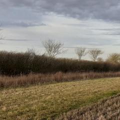 Field boundary at RSPB Hope Farm - © Richard Winspear