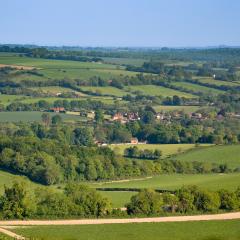 Hedgerows in landscape