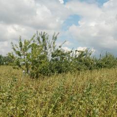 Taken at Home Farm (and Farmeco Community Care Farm), Screveton, Nottinghamshire. Photo credit: Janie Caldbeck