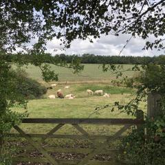 Delivering Greener Grassland - A Cross-Industry Partnership to Grow Pasture Based Solutions to Climate Change - Courtesy of Will Sibly, LEAF