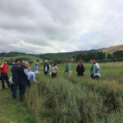 EIP Ancient Cereals trials