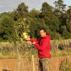 Andy Dibben, head grower at Abbey Home Farm beside early season cooking apple Rev Wilks