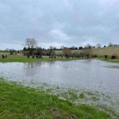 Landscape Recovery meeting with the NECFC CIC