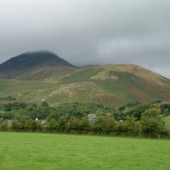 Hedgerow boundary Cumbria