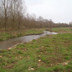 River Glyme