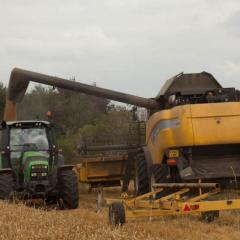 Can a neonic future be good for farming and nature?