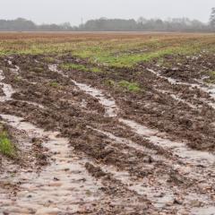 Rainwater running off of saturated arable field