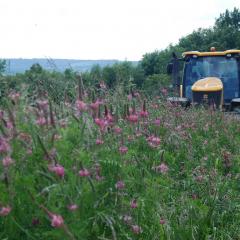 Grasslands & forage crops