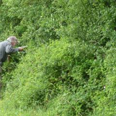 Assessing_hedgerows_for_biodiversity_protocol