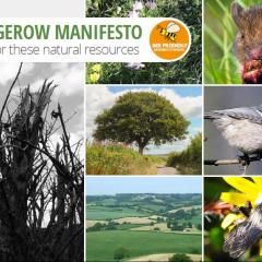 Hedgerow Manifesto cover