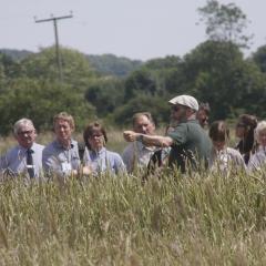 Bruce Pearce on wheat populations