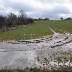 Soil runoff from tramline. Peter Thompson- GWCT