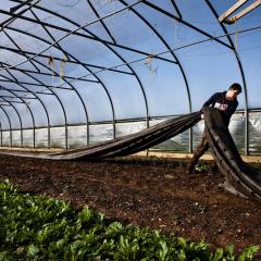 Daylesford farm polytunnel preparation in March