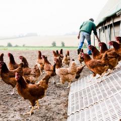 Daylesford Organic- Martin Morrel