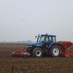 Drills establishing spring wheat: power harrow combination drill, Minimum tillage Vaderstad drill, Ecodyn direct drill